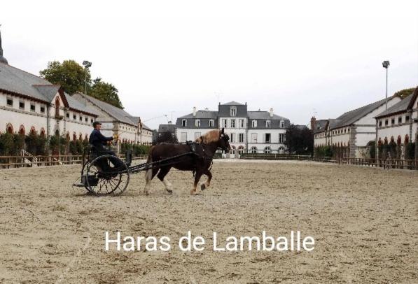 Perle Rare, Paisible Et Cosy Apartment *